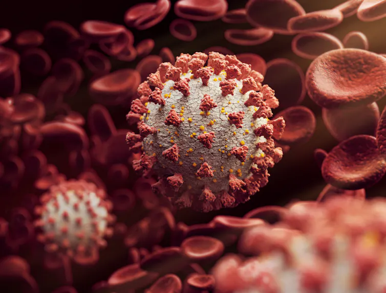 Virus