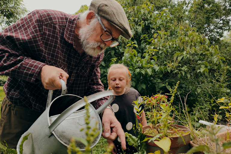 Older man waters the garden