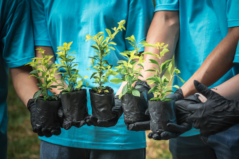 four people in bright blue T shirts holding tiny tree samplings wearing black gloves
