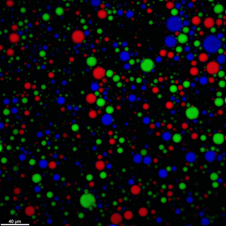 Small circles colored red, blue, or green against a black background
