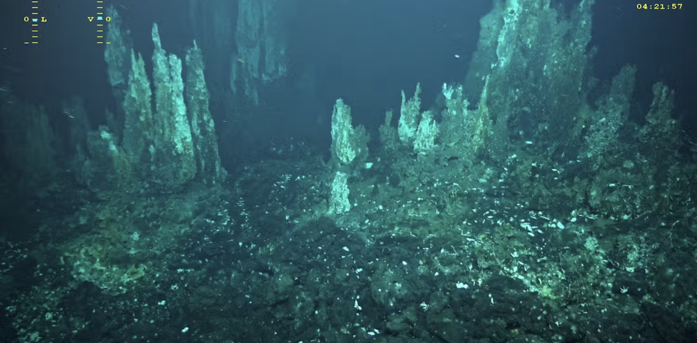 de l’enjeu de mieux connaître la biodiversité des abysses marins ? de l’enjeu de mieux connaître la biodiversité des abysses marins ?