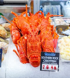 Fresh lobster on ice at a market in Melbourne
