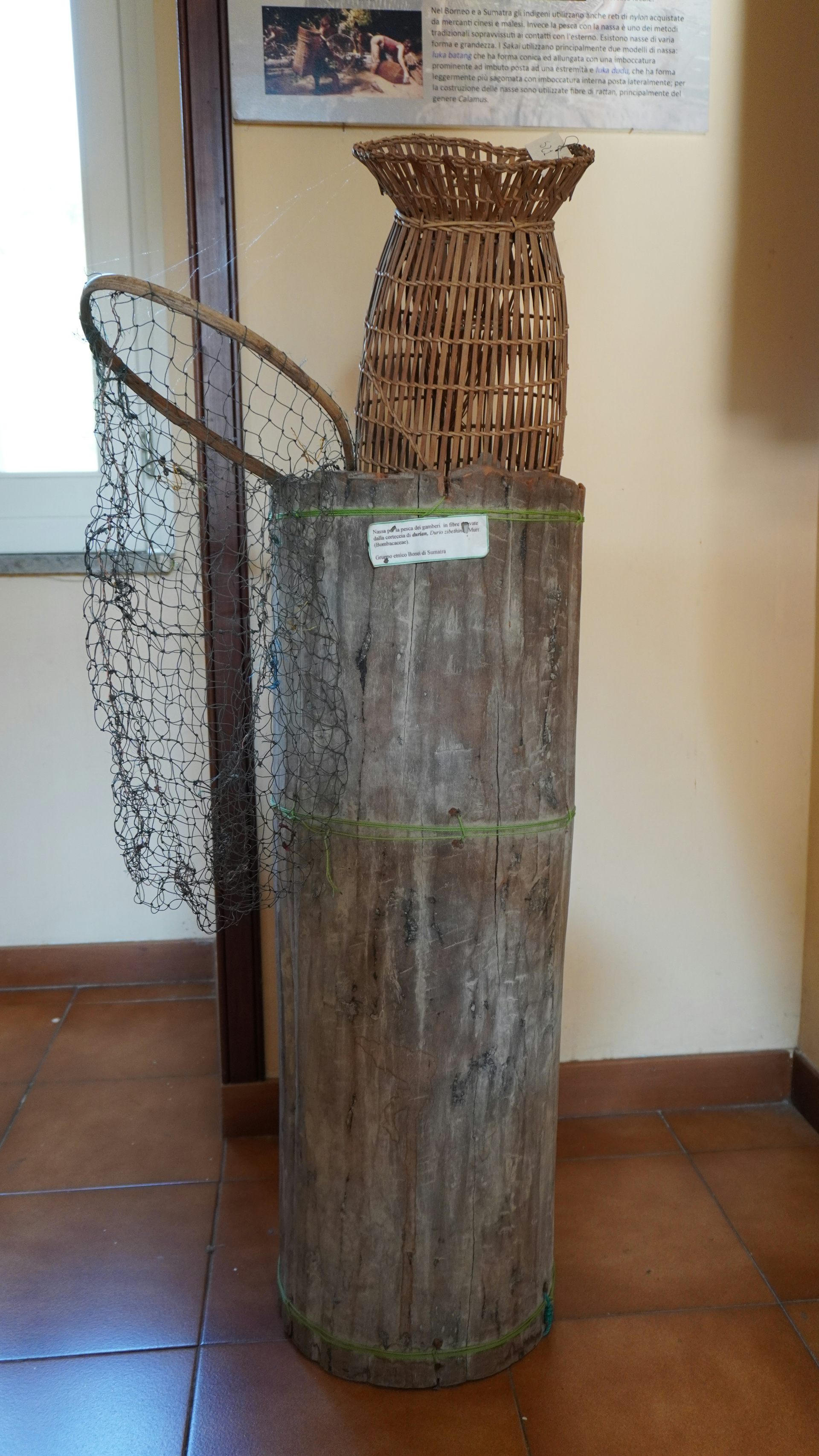 Objek budaya suku Sakai dan suku Bonai di Museum Paleobotani dan Etnobotani Napoli