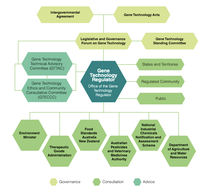 Chart depicting how and by whom the Office of the Gene Technology Regulator is informed.