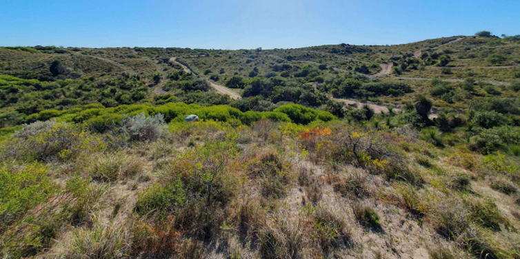 dunes near yanchep