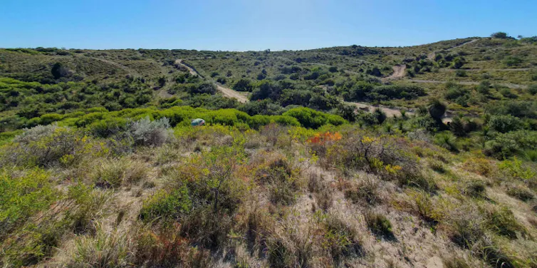 dunes near yanchep