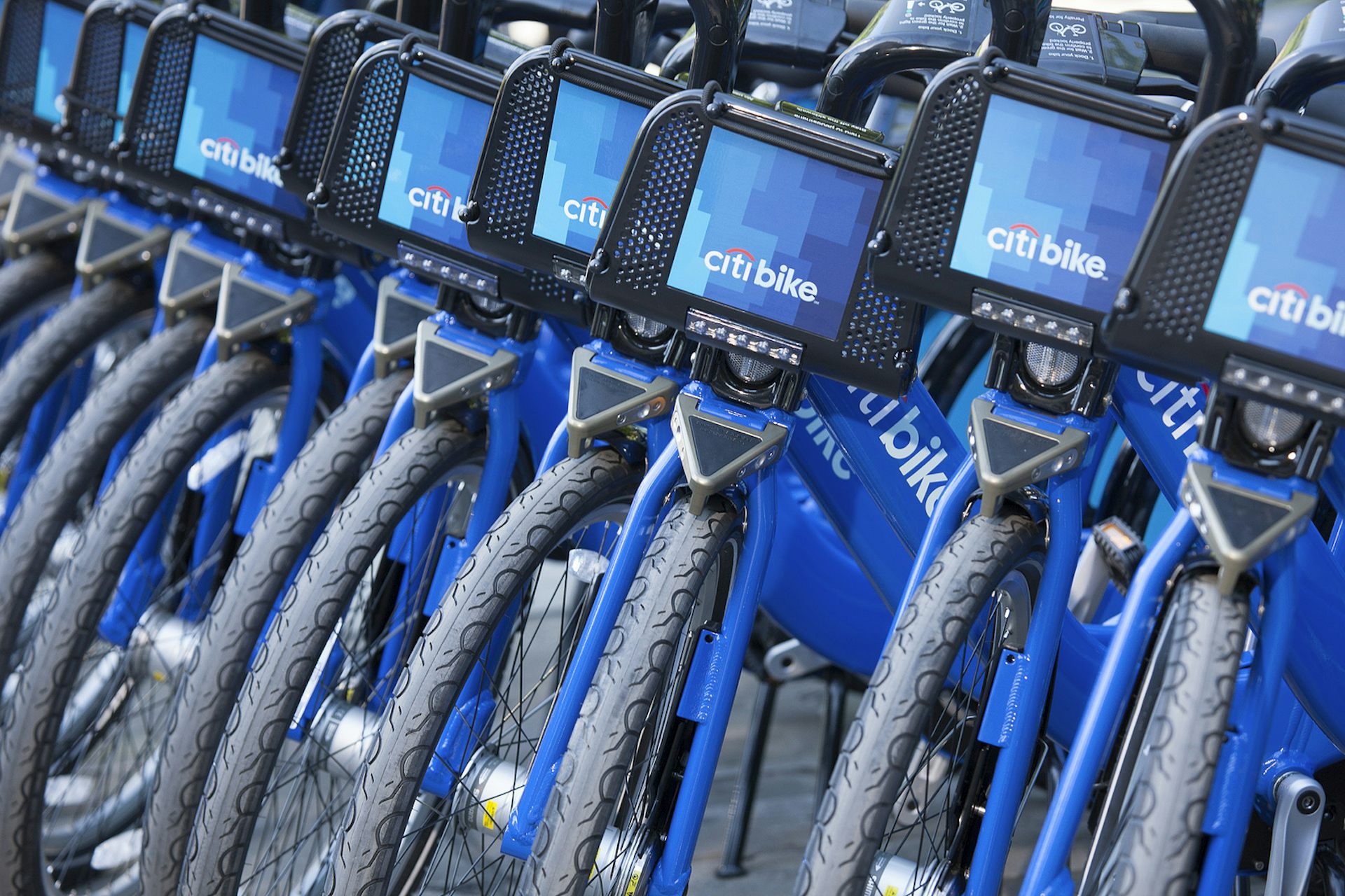 citi bike rental cost