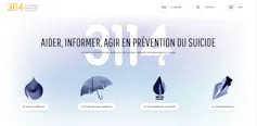 Capture d’écran de la page d’accueil du site du 3114