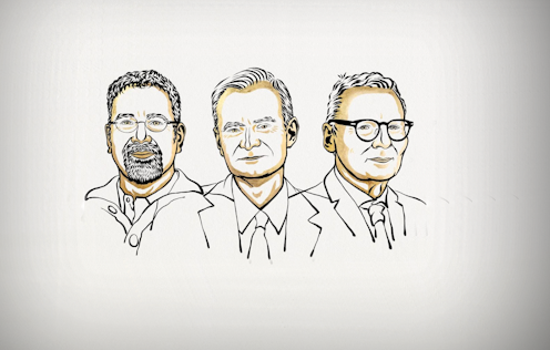 This year’s Nobel prize in economics awarded to team that examined what makes some countries rich and others poor