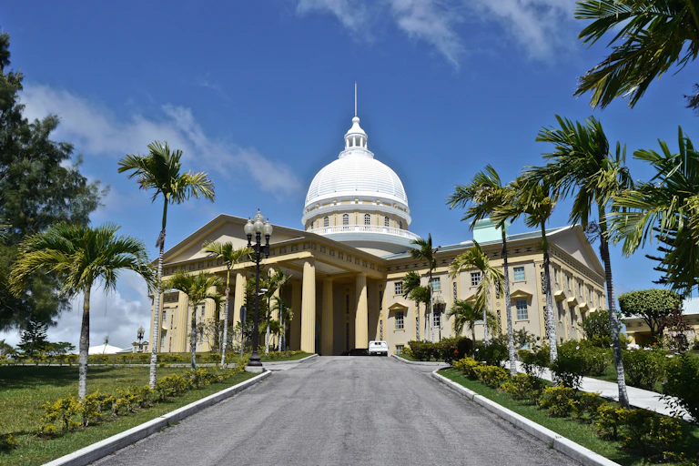 Political building flanked by palm trees