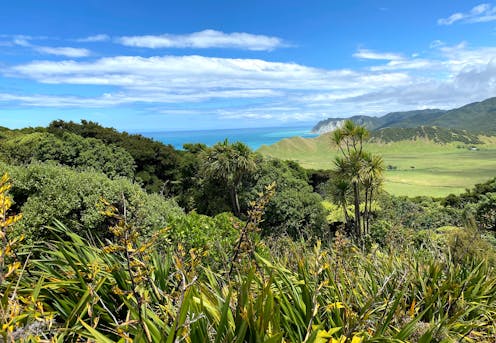‘Nature markets’ may help preserve biodiversity – but they risk repeating colonial patterns of Indigenous exploitation