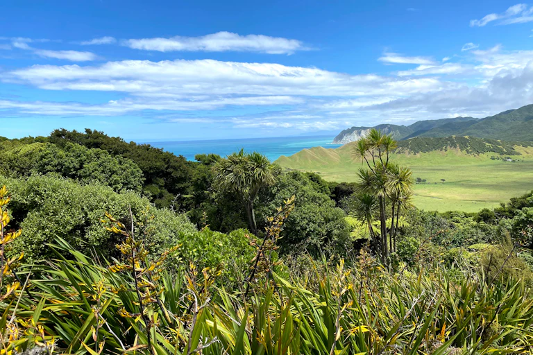 View of a bay in New Zealand