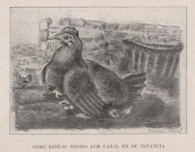Dibujo de una gallina.
