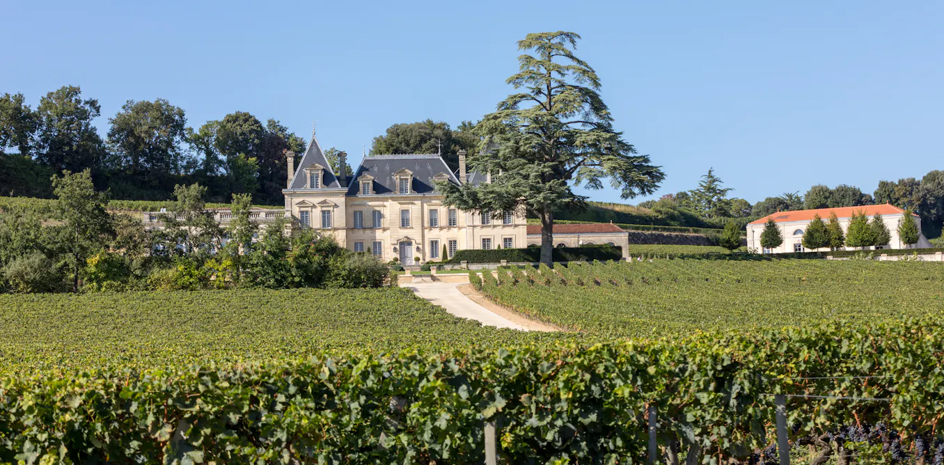 pour les vignerons, entre évidence et obligation économique pour les vignerons, entre évidence et obligation économique