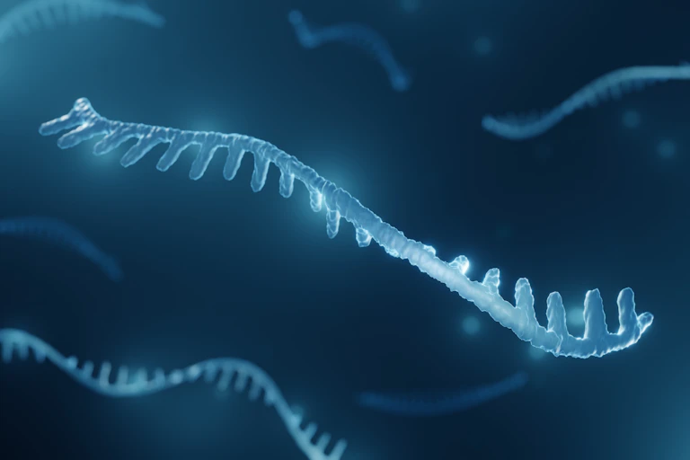 blue squiggle that looks like half a ladder