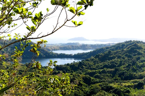 More than 20% of Earth’s plant species are found only on islands – and time is running out to save them
