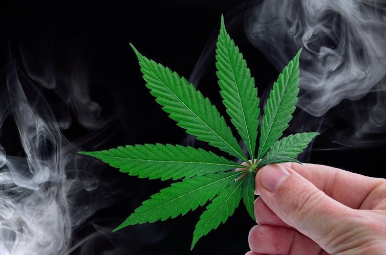 La mano di una persona tiene una foglia di cannabis mentre il fumo si muove sullo sfondo.