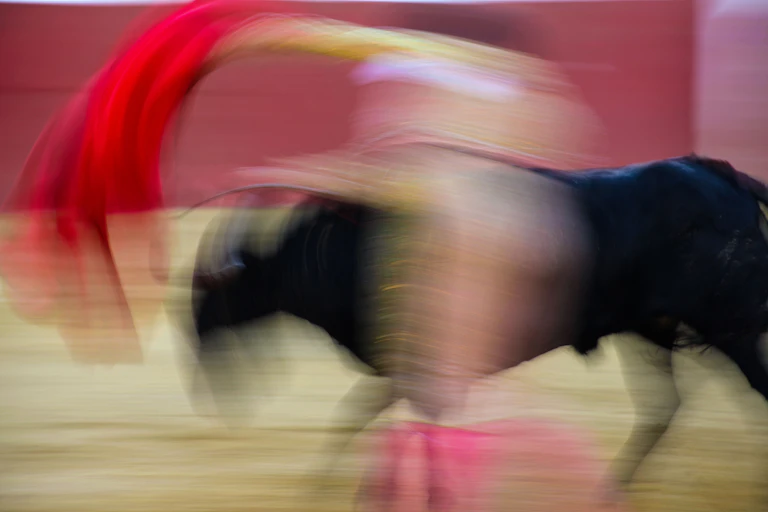 Bullfighting Fails Award-winning bullfighting documentary likely to anger aficionados and ...