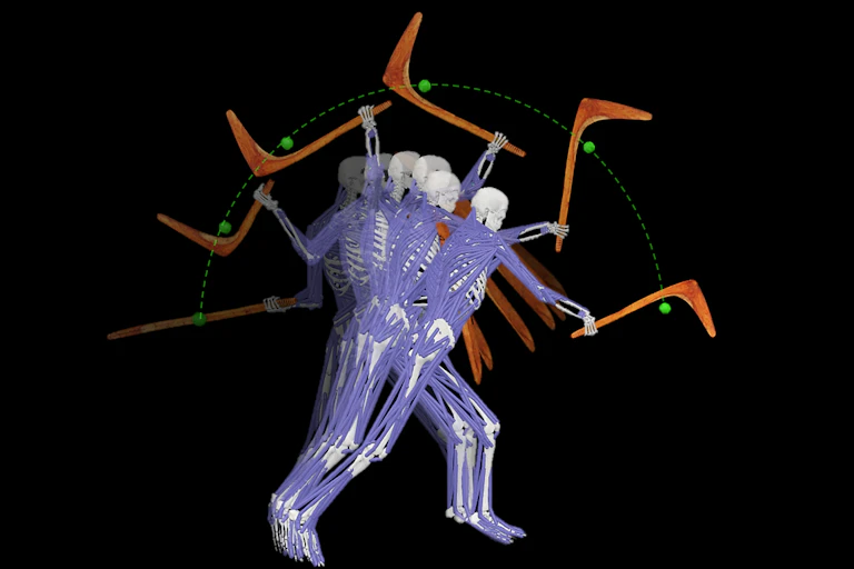 A diagram of a human body in purple shown in motion with a wooden l shaped tool.