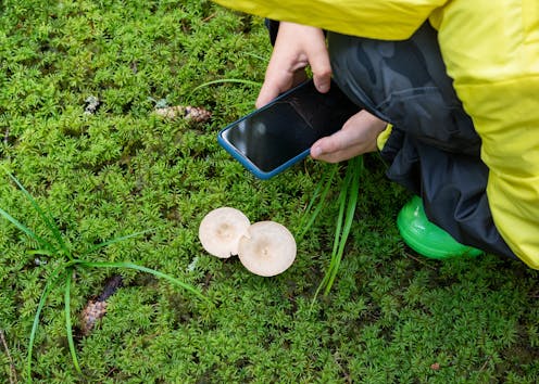 Tech can help kids connect with nature and go outdoors – here are tips to make it work
