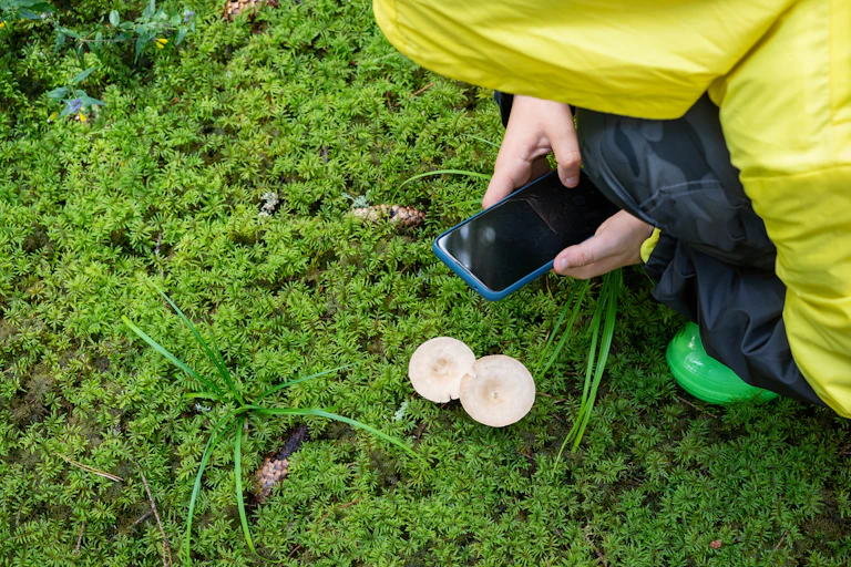 A child in yellow raincoat taking photos of mushrooms on the forest floor.