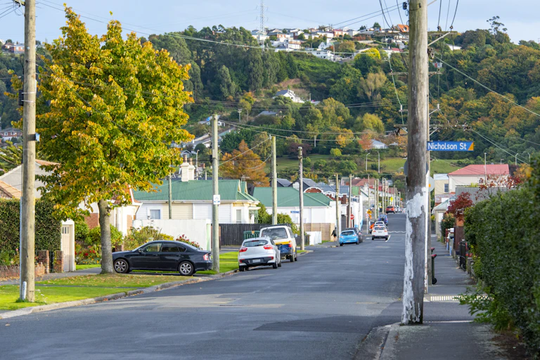 Suburban Street in Dunedin