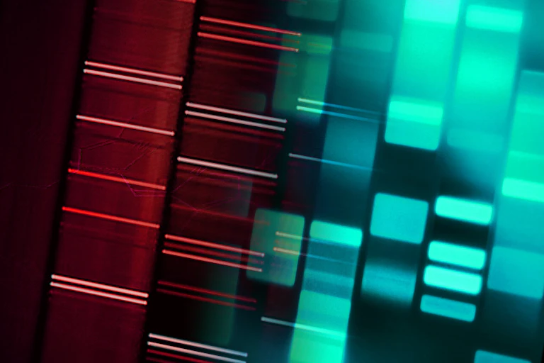Red and green columns with horizontal markings, representing DNA data.