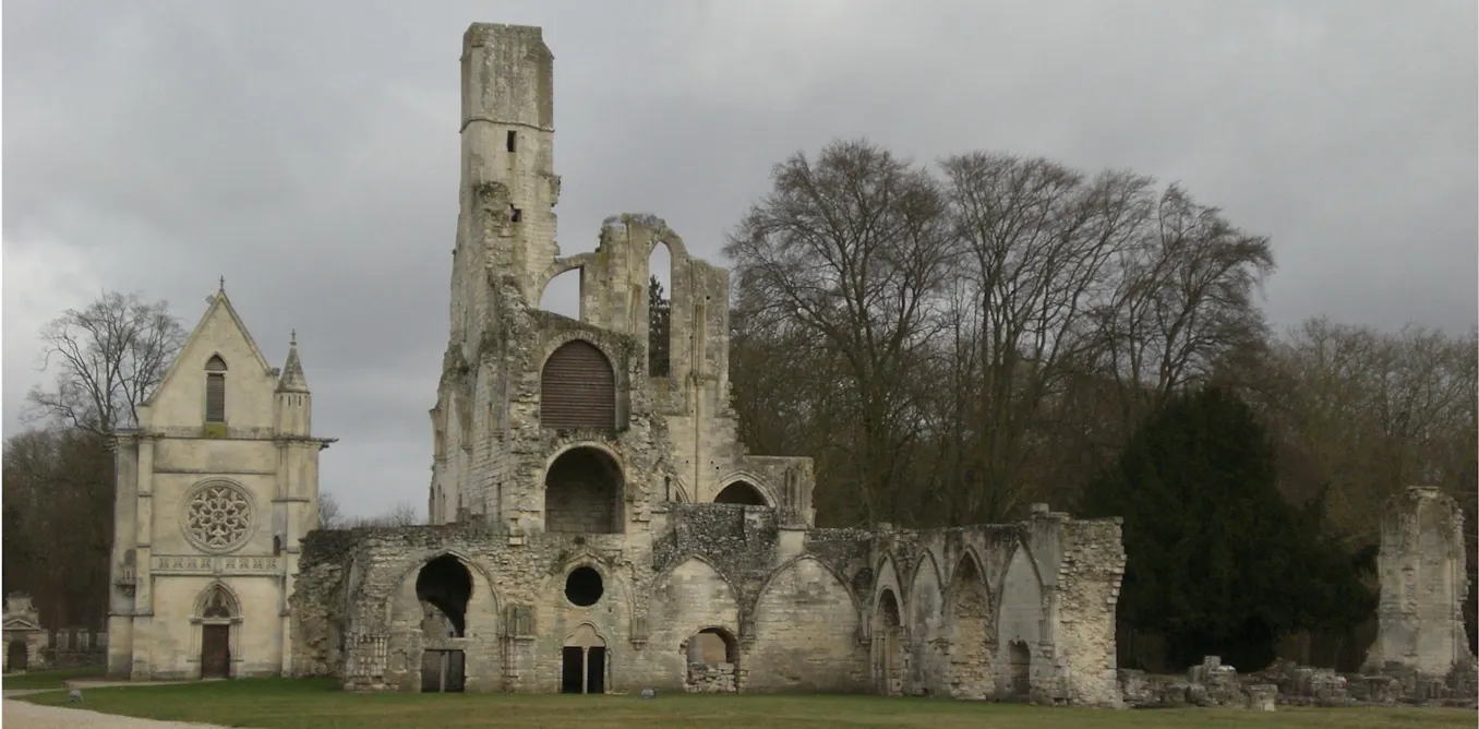 algues, bactéries, champignons à l’assaut des vieilles pierres algues, bactéries, champignons à l’assaut des vieilles pierres