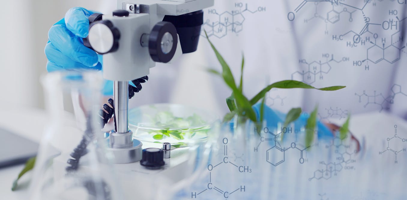 Cop29: ai can help develop climate-resistant crops for africa – but it shouldn’t be left in the hands of corporates