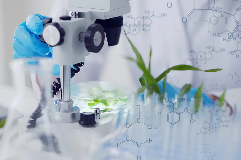 Plant seedlings being examined under a microscope