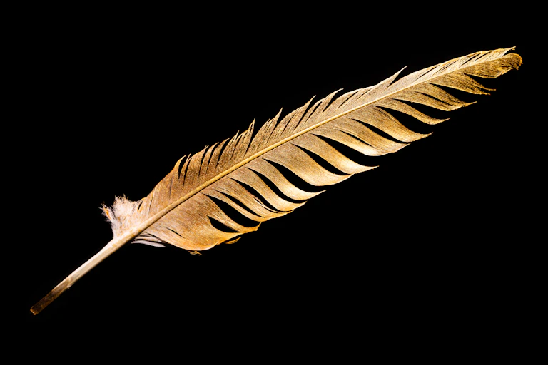 A feather is covered in gold paint