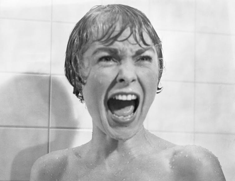 Janet Leigh in the shower scene from 'Psycho.'