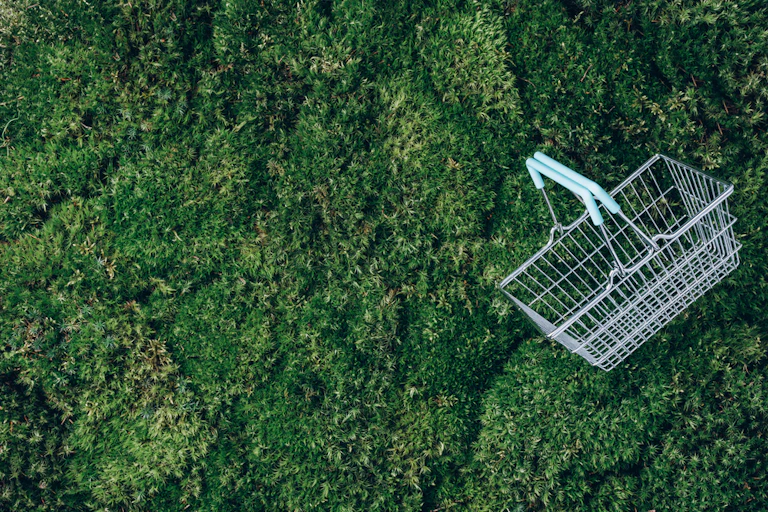 shopping basket on grass