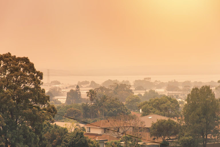A Sydney suburb in a haze of smoke, December 2019. The sun can barely be seen through the smoke.