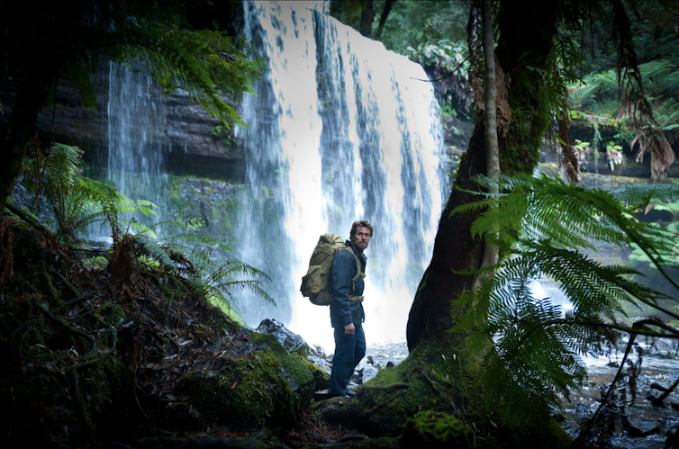 A man stands amid tree ferns in front of a waterfall.