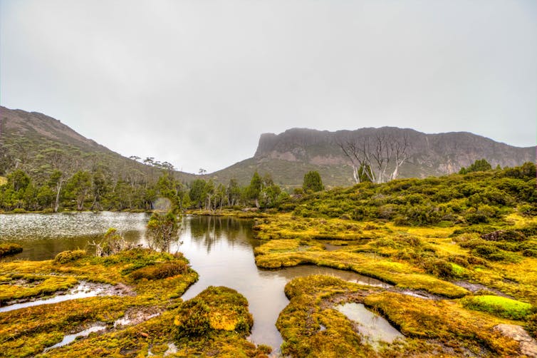 A lake in the Tasmanian wilderness.