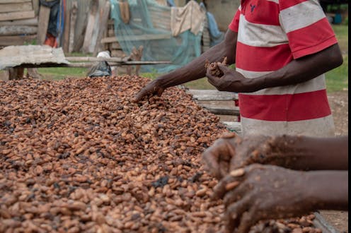 Why Ghanaian farmers have been unable to capitalise on record cocoa prices