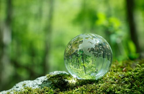 How finance can be part of the solution to the world’s biodiversity crisis