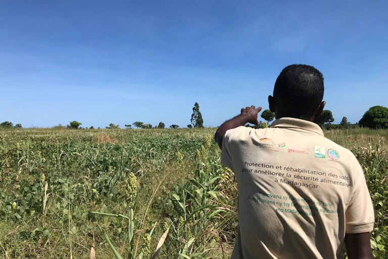 homme de dos face à un champ en afrique
