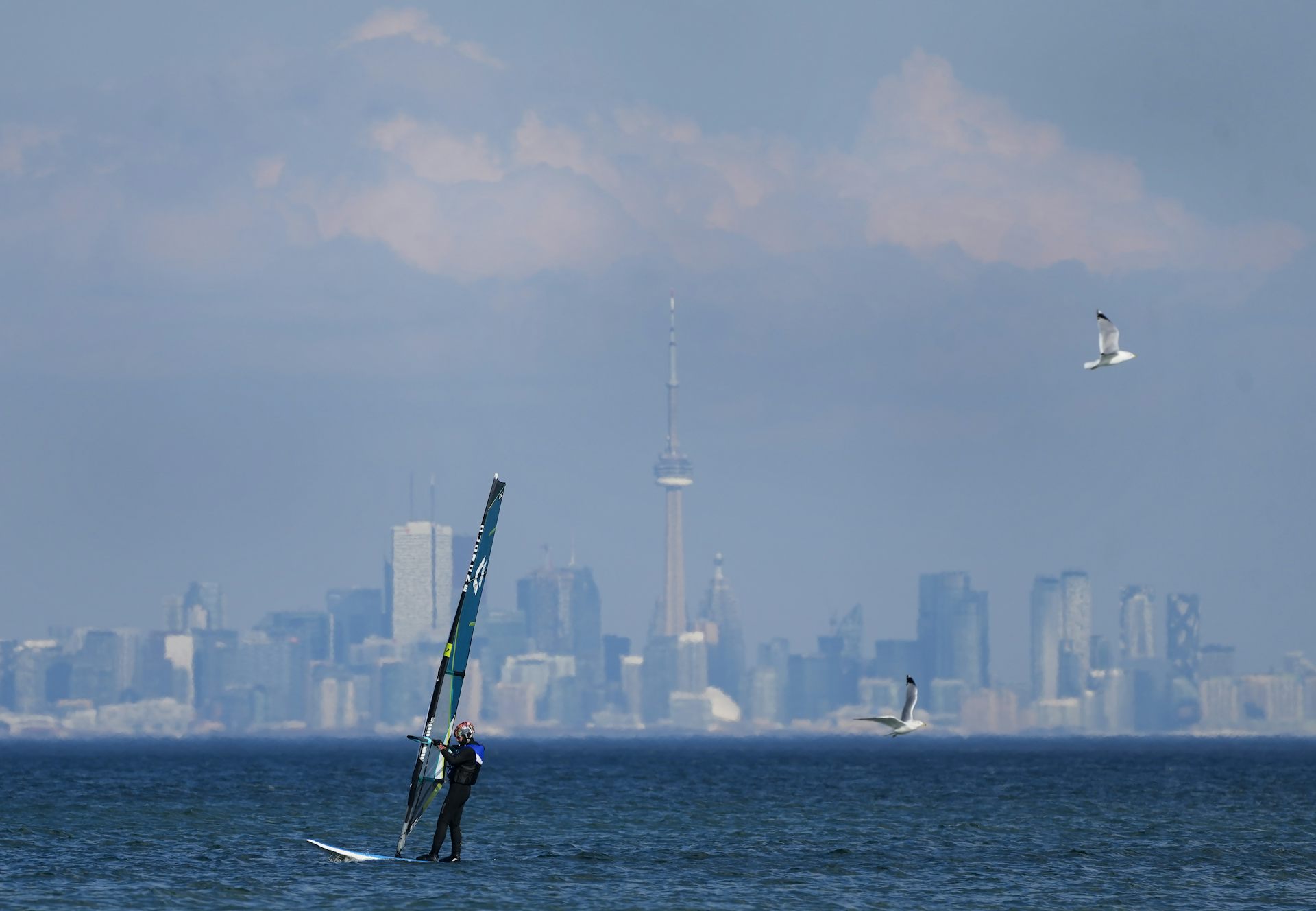 Une planche à voile passe devant des mouettes dans un paysage urbain