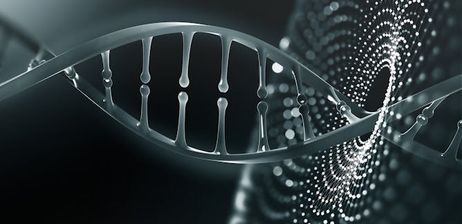 Gene editing – News, Research and Analysis – The Conversation – page 1