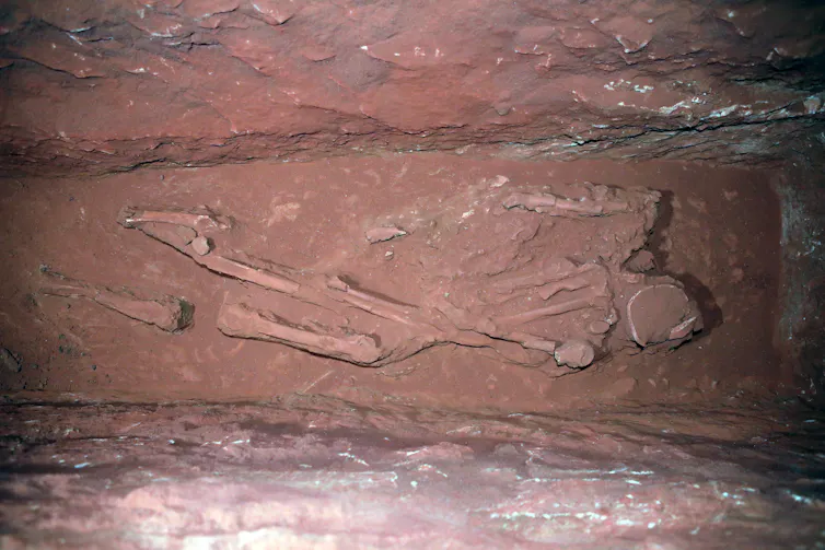 A skeleton excavated from a grave