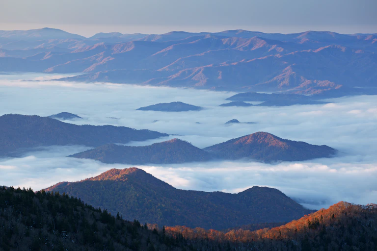 Fall foliage covers the mountains that appear above the clouds.