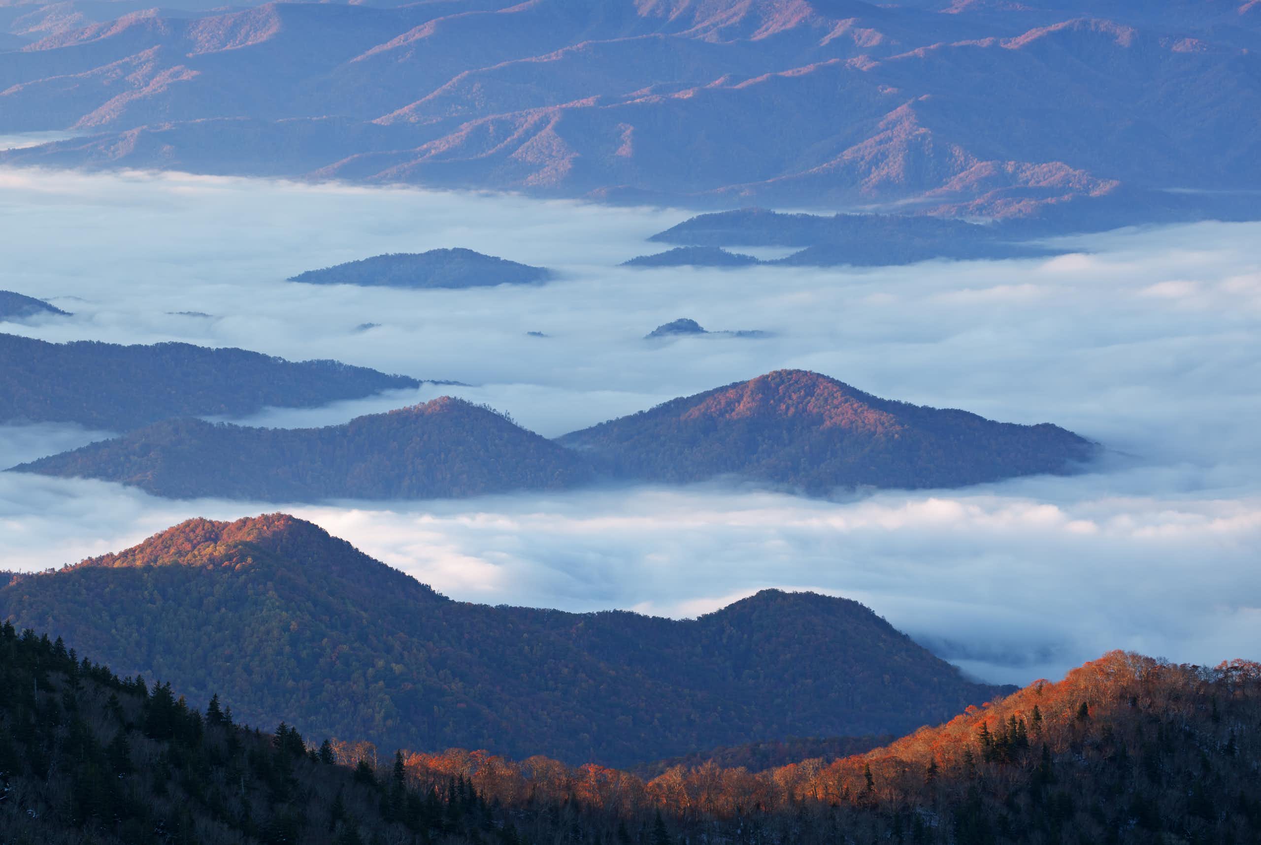 Fall foliage covers the mountains that appear above the clouds.