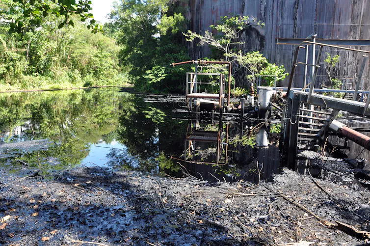 Oil slick surrounding large tanks in a forest