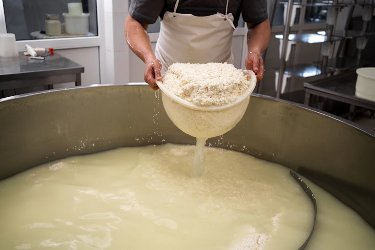 man taking cheese out of vat, leaving whey