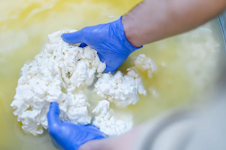cheese and whey, hands