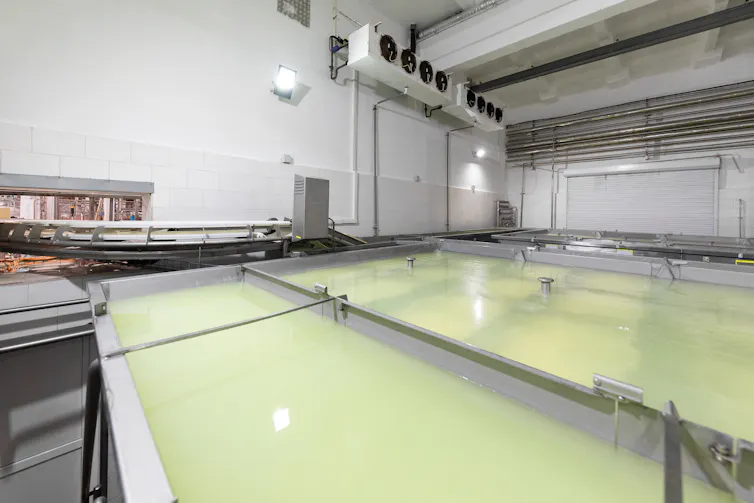 whey in tanks