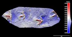 A digital scan of bird tracks preserved in a rock surface