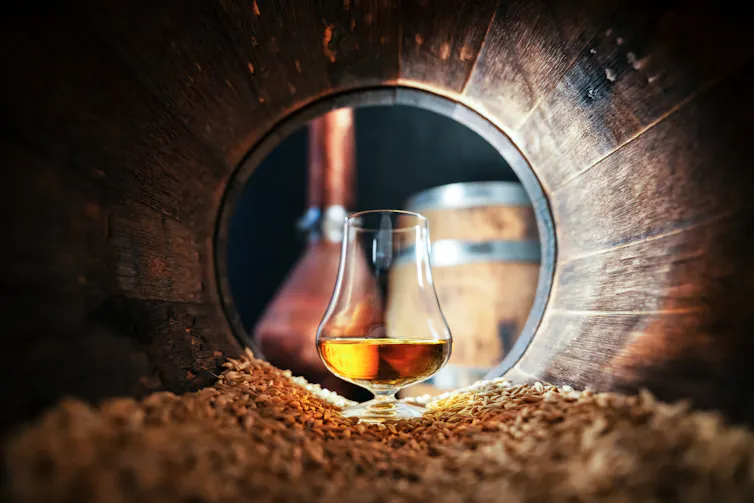 Glass of brown liquid inside wooden barrel.